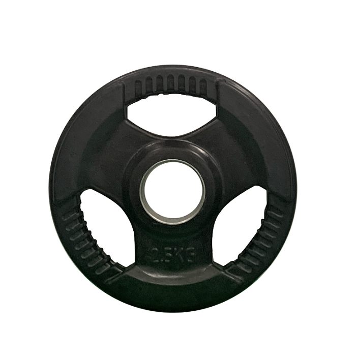 Gainmotion Fixed Rubber Plates 2.5KG Pair (Black)